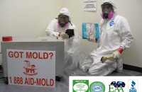 Mold remidiation in Salt Lake City