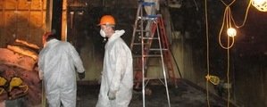 Mold Cleanup Technicians Working In Basement