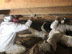 Technicians Conducting Water Damage Restoration repairs In A Crawlspace