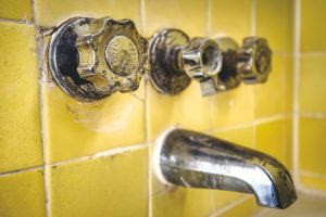 moldy grout lines in bath